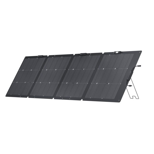 EcoFlow Delta 2 + 220W Bifacial Panel Bundle