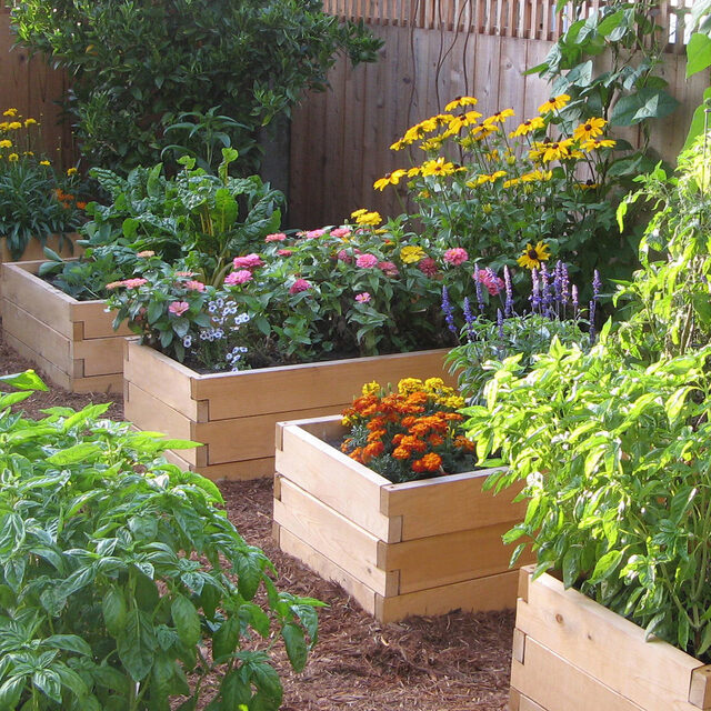 Eartheasy Cedar Raised Garden Bed (4x8x11in)