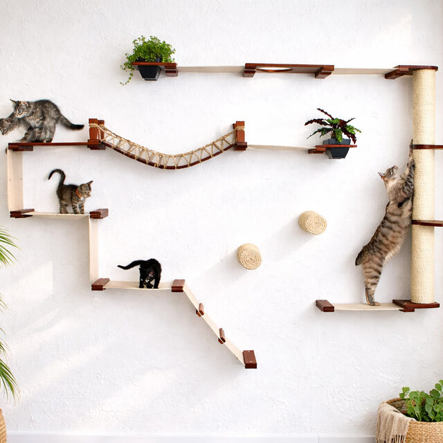 Catastrophic Creations Wall-Mounted Cat Perch Set