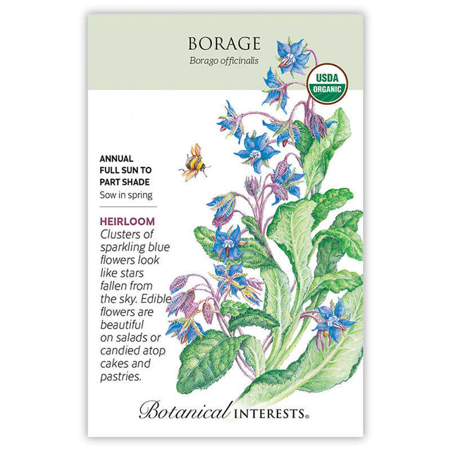 Eartheasy Borage Seeds (Organic)