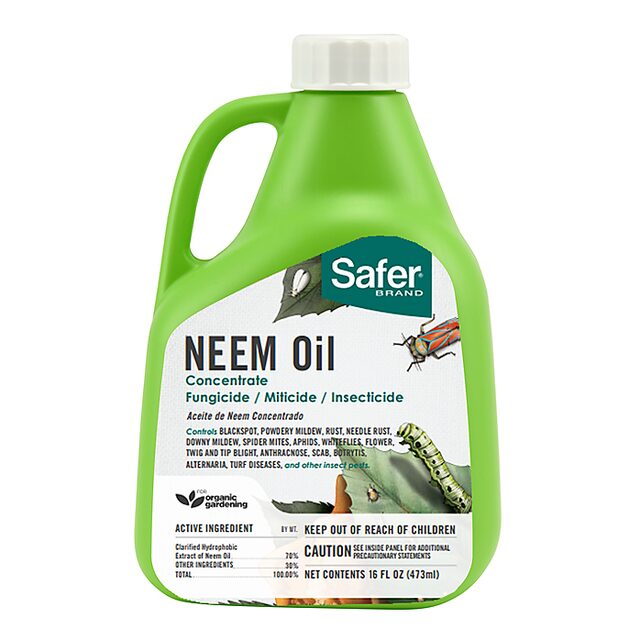 EarthHero Safer Brand Neem Oil Concentrate