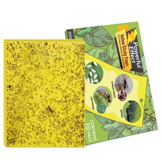 EarthHero Sticky Yellow Traps (10-pack)
