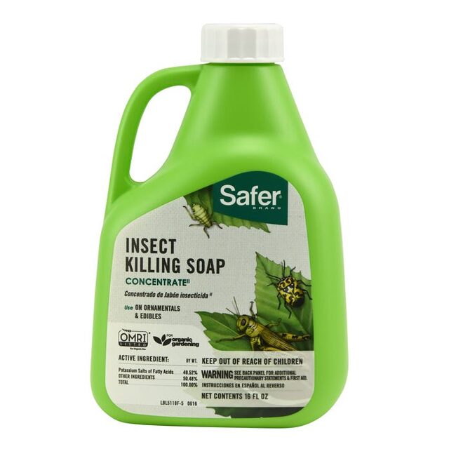 Eartheasy Organic Insecticidal Soap Spray