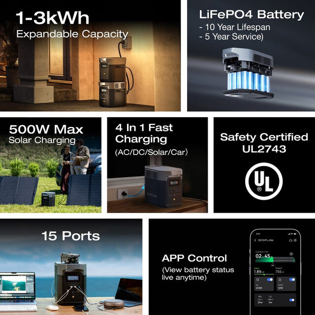 EcoFlow Delta 2 + 220W Bifacial Panel