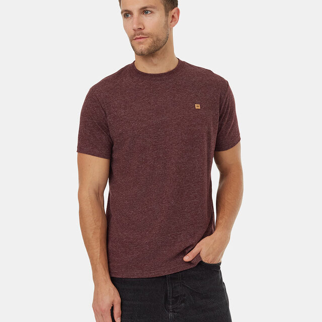 Tentree Hemp-Cotton Blend Tee