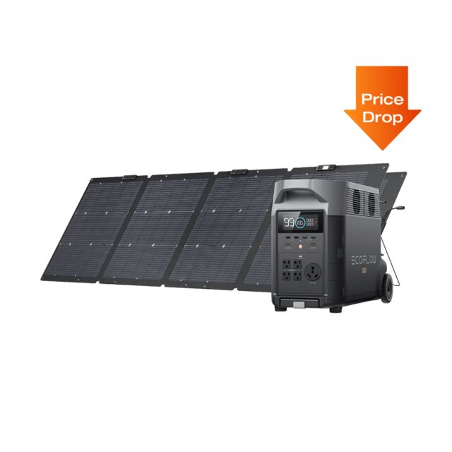 EcoFlow DELTA Pro
